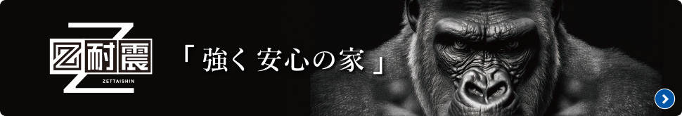 「強く安心の家」Z耐震