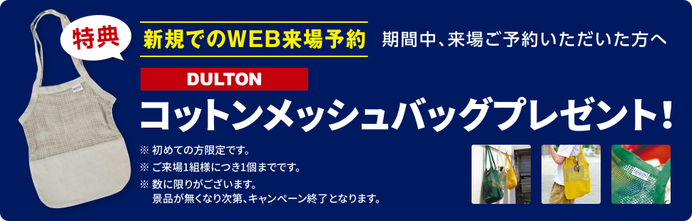 コットンメッシュバッグプレゼント