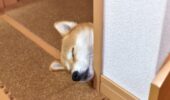 注文住宅の寒さ対策！一軒家を暖かくする方法を紹介