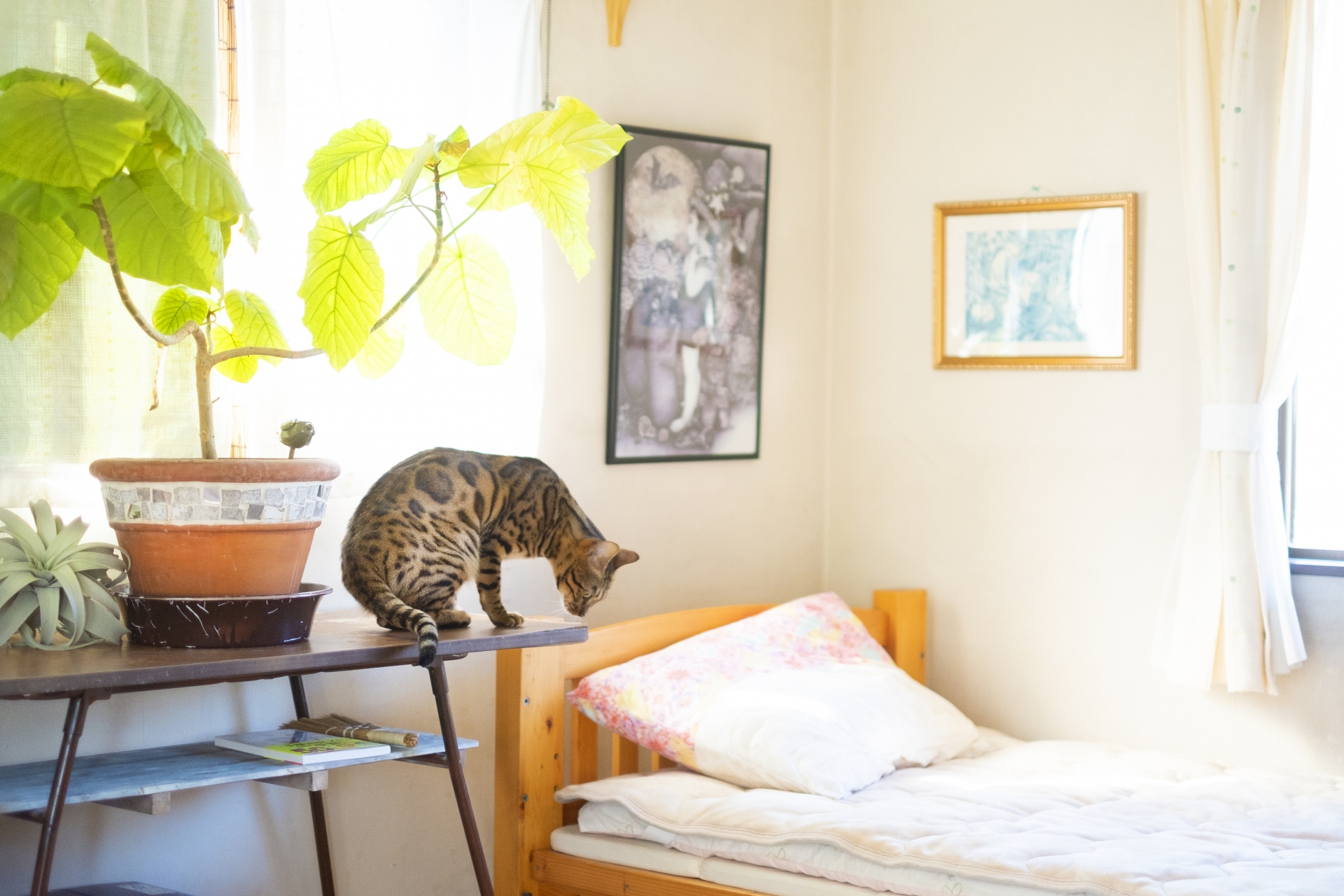 壁に絵が飾ってある写真