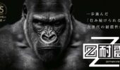 ご好評につき追加枠確保！「Z耐震」50万プレゼントキャンペーン！