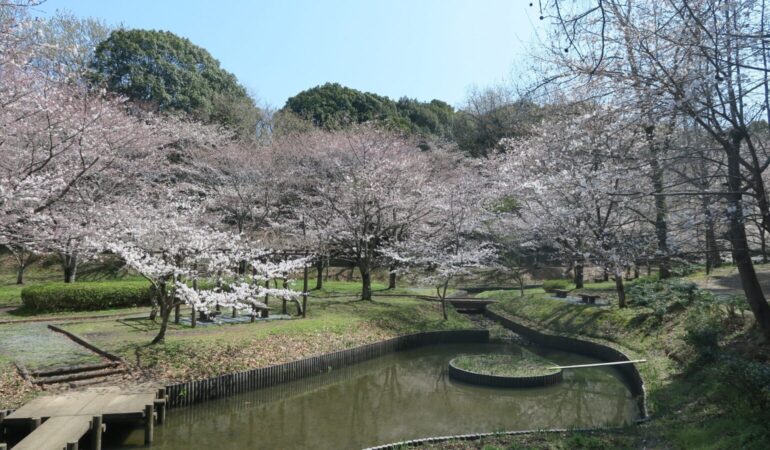 熊本市南区ってどんなエリア？